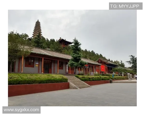 倪永康的政治生涯与影响力探讨:从官场风云到历史评价的全景分析 倪永康的政治生涯与影响力探讨:从官场风云到历史评价的全景分析