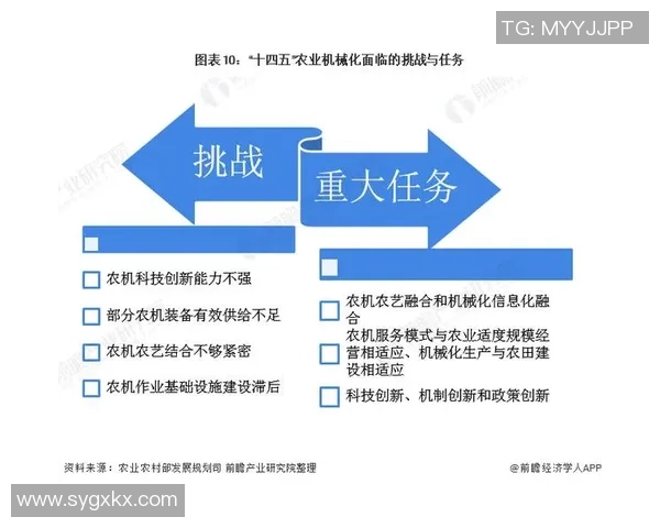 成都街舞队运营分析与反思：成功经验与面临挑战的深度探讨